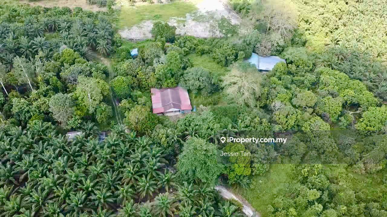 Tanah Pertanian untuk Dijual di Kota Tinggi, Johor oleh Jessie Tan - iProperty.com.my