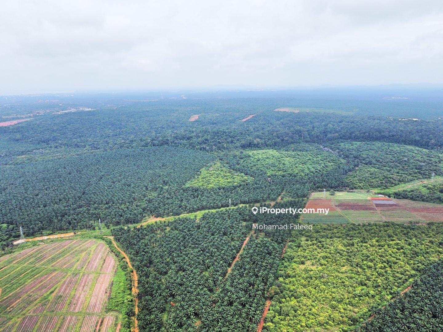 Tanah Perindustrian untuk Dijual di Kamunting, Taiping, Perak, Taiping oleh Mohamad Faleeq - iProperty.com.my