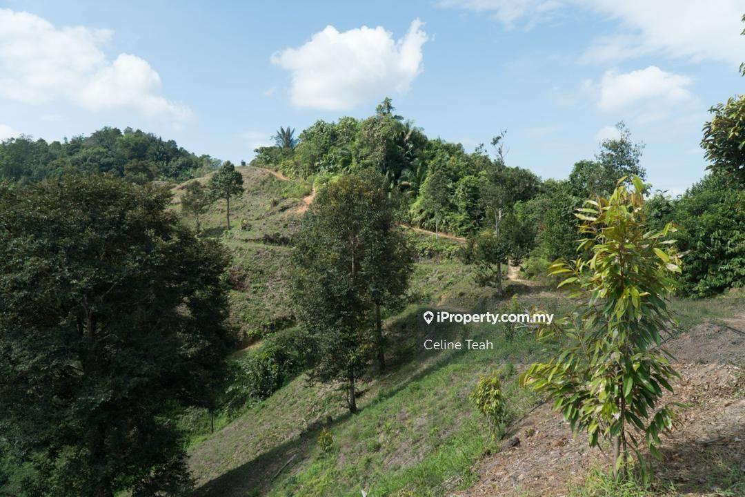 Agricultural Land for Sale in Papar Fruits Farm, Papar by Celine Teah - iProperty.com.my