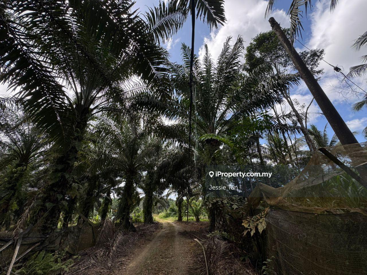 Agricultural Land for Sale in Kota Tinggi, Johor by Jessie Tan - iProperty.com.my