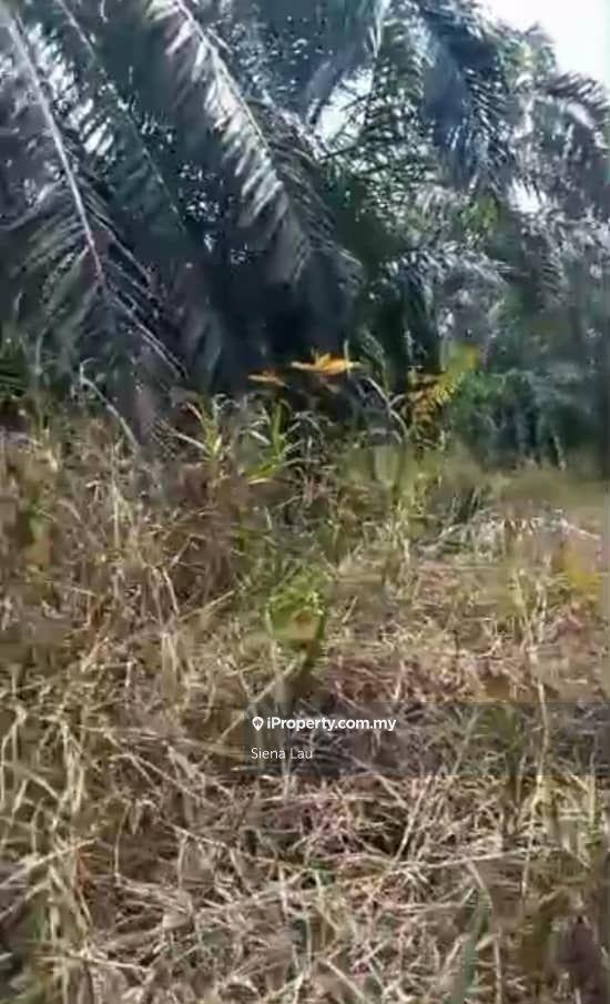 Tanah Pertanian untuk Dijual di Kampung Parit Panjang, Ayer Baloi oleh Siena Lau - iProperty.com.my
