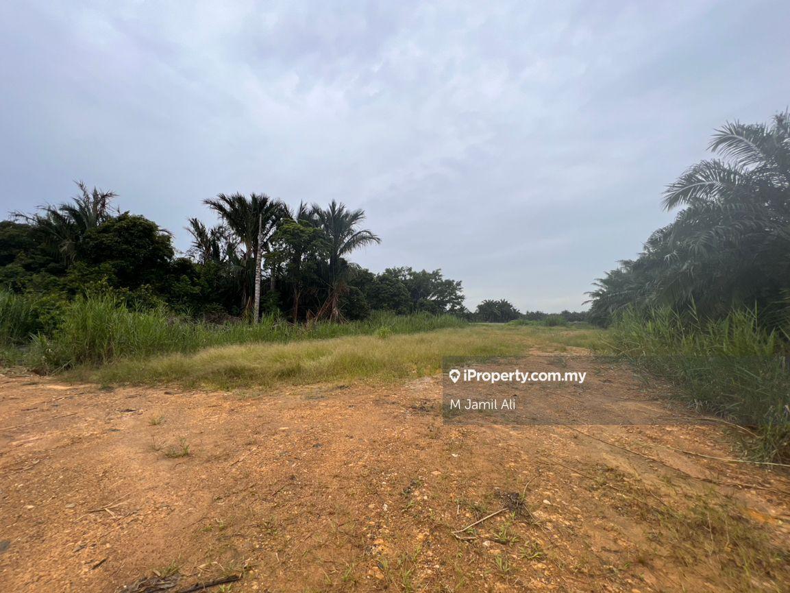 Agricultural Land for Sale in Kampung Pulau Penarek Sg Mati, Tangkak by M Jamil Ali - iProperty.com.my