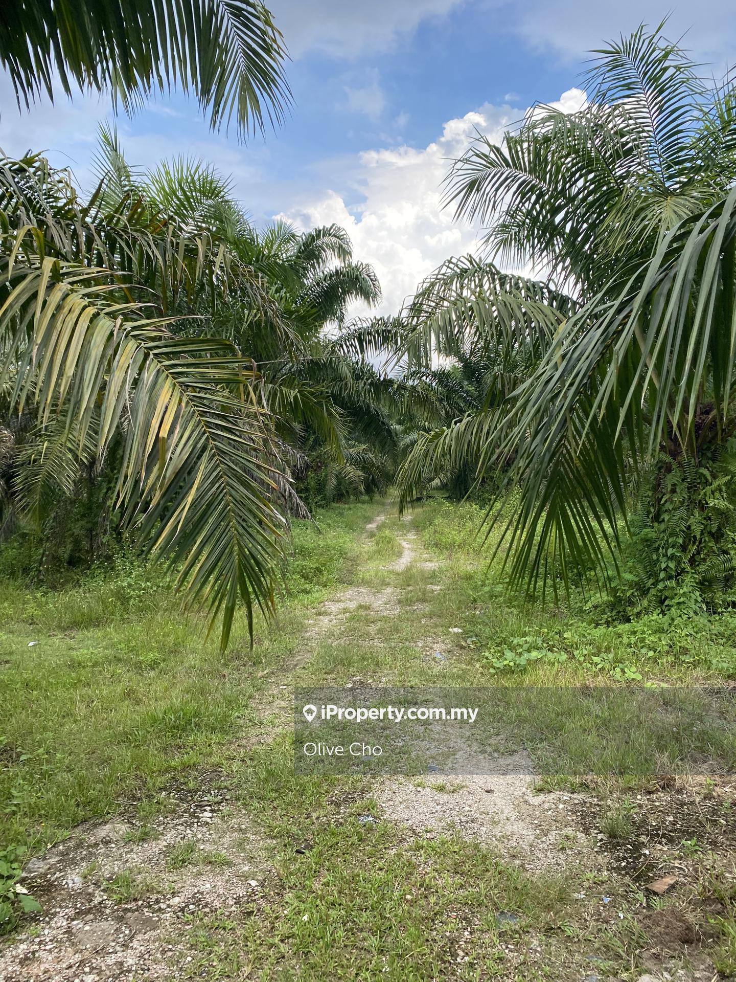 Agricultural Land for Sale in Kapar, Klang by Olive Cho - iProperty.com.my