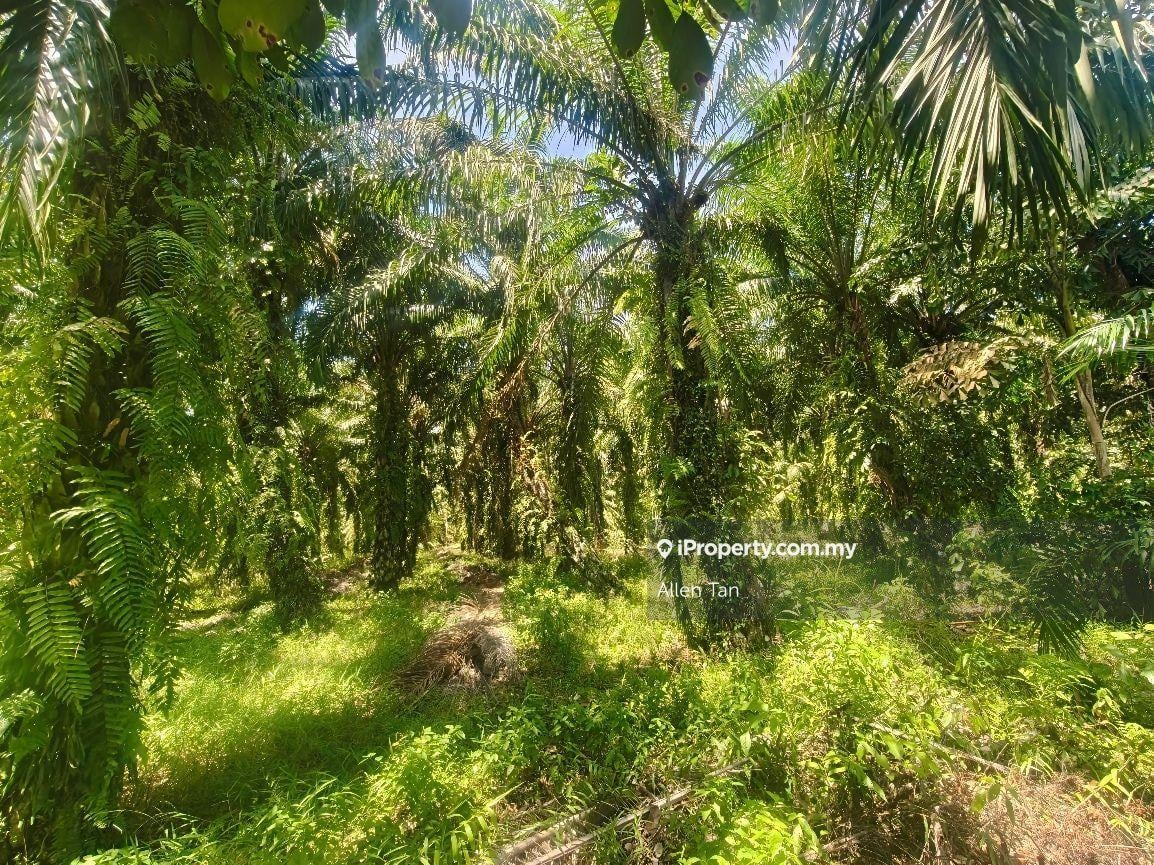 Tanah Pertanian untuk Dijual di Bandar Pontian, Pontian oleh Allen Tan - iProperty.com.my