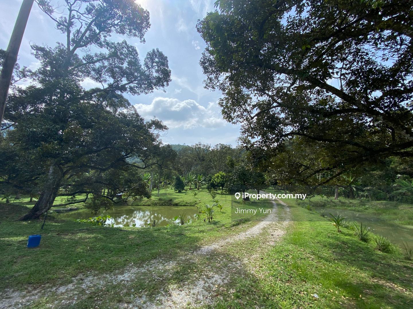 Agricultural Land for Sale in Broga agriculture land, Beranang by Jimmy Yun - iProperty.com.my