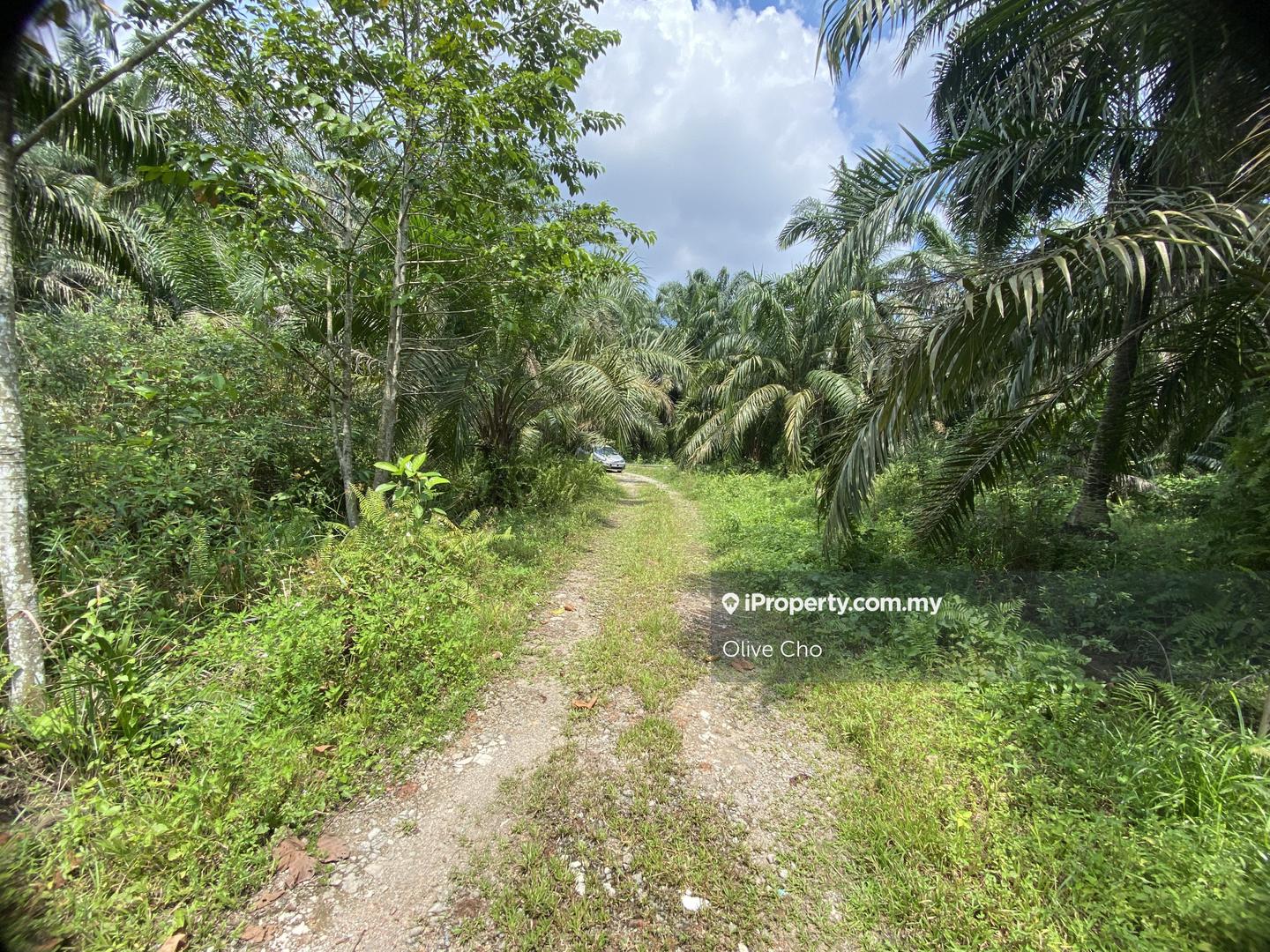 Agricultural Land for Sale in Kapar, Klang by Olive Cho - iProperty.com.my