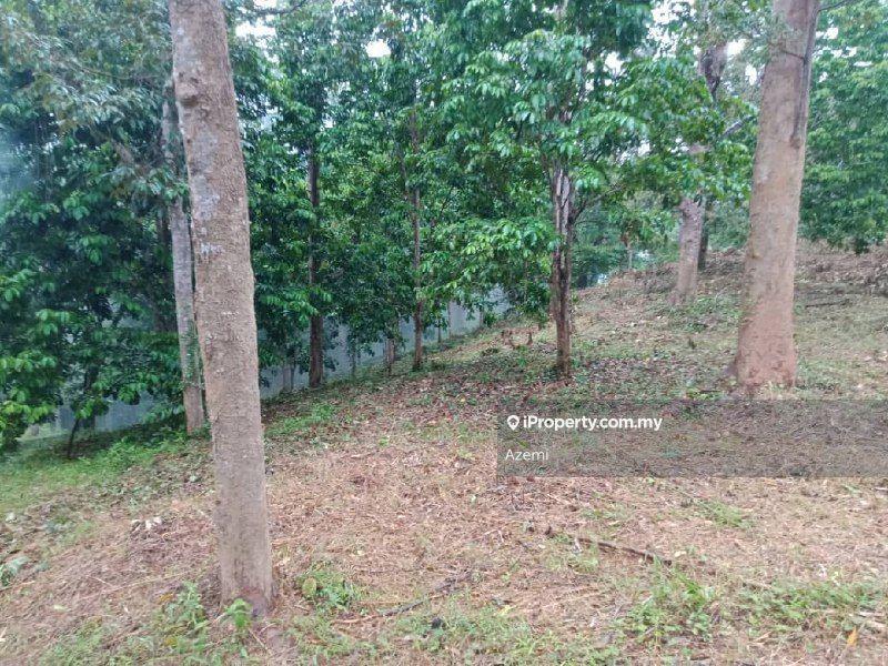 Tanah Pertanian untuk Dijual di Ulu Melaka, Langkawi, Ulu Melaka oleh Azemi - iProperty.com.my