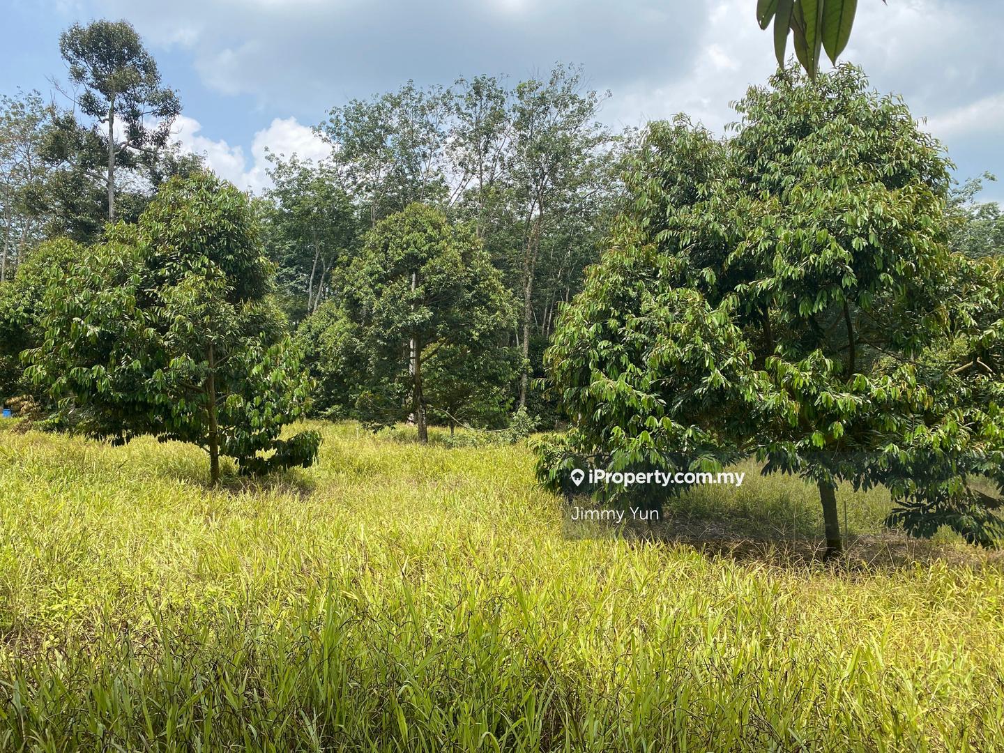 Agricultural Land for Sale in Durian farm for sale Titi , Negeri Sembilan, Titi by Jimmy Yun - iProperty.com.my