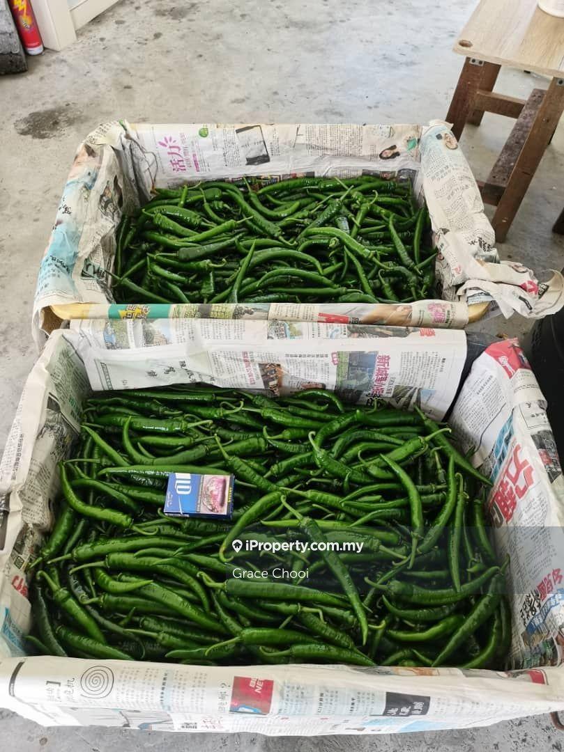 Agricultural Land for Sale in Mantin, Mantin by Grace Chooi - iProperty.com.my