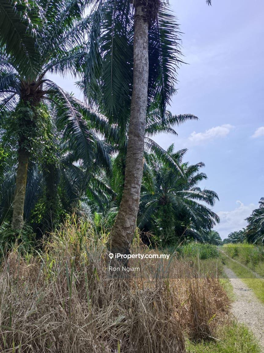 Industrial Land for Sale in Telok Panglima Garang Industrial Zone, Telok Panglima Garang by Ron Ngiam - iProperty.com.my