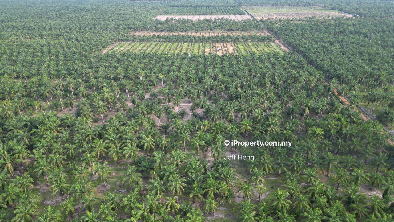 Agricultural Land for Sale in Kuala Selangor, Kuala Selangor by Jeff Heng - iProperty.com.my