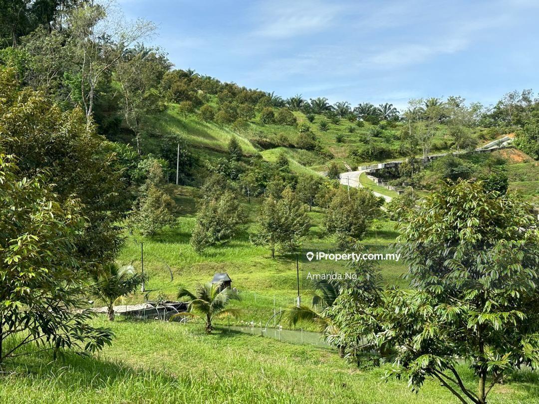 Agricultural Land for Sale in Serendah, Rawang by Amanda Ng - iProperty.com.my