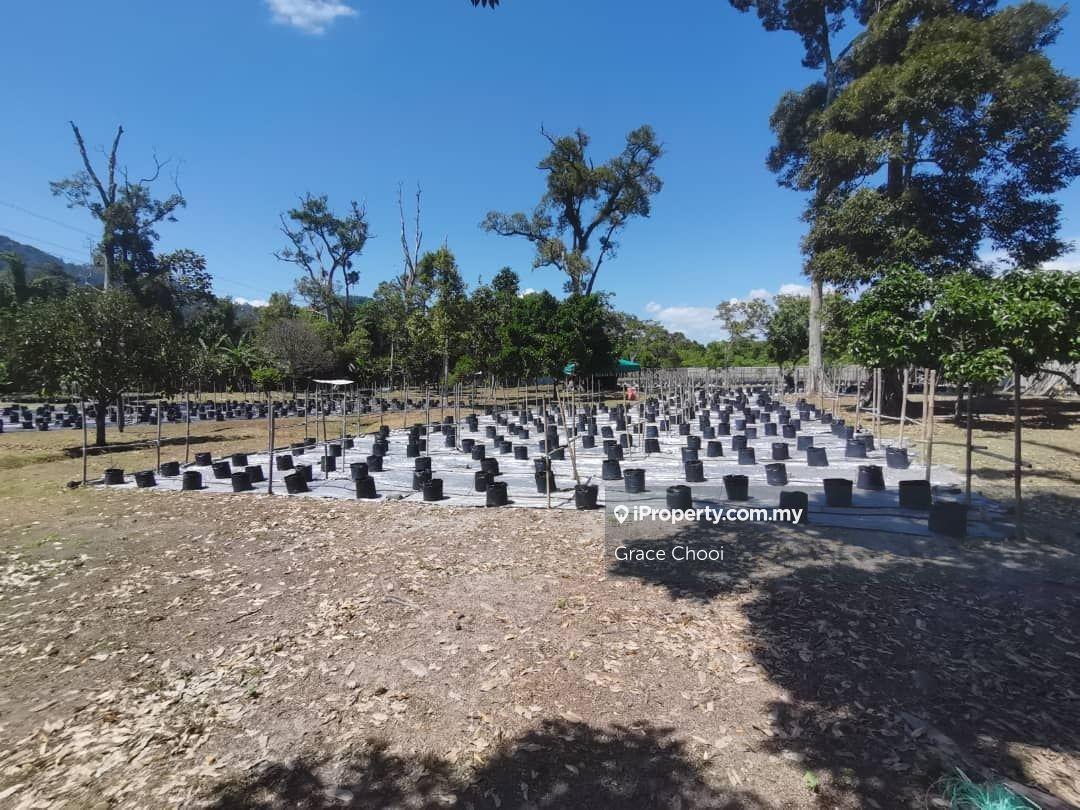 Agricultural Land for Sale in Mantin, Mantin by Grace Chooi - iProperty.com.my