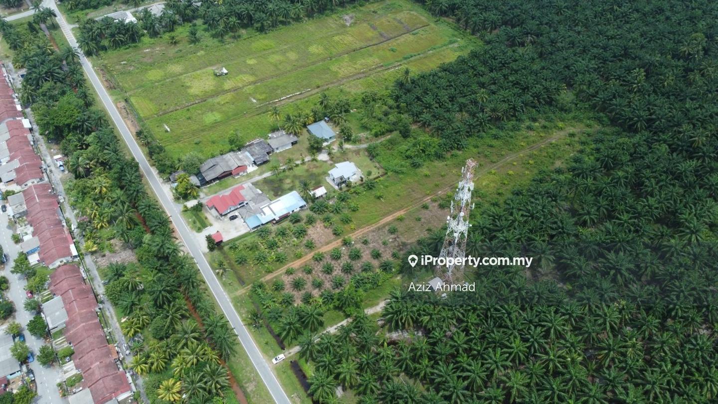 Agricultural Land for Sale in Bagan Lalang, Sepang by Aziz Ahmad - iProperty.com.my