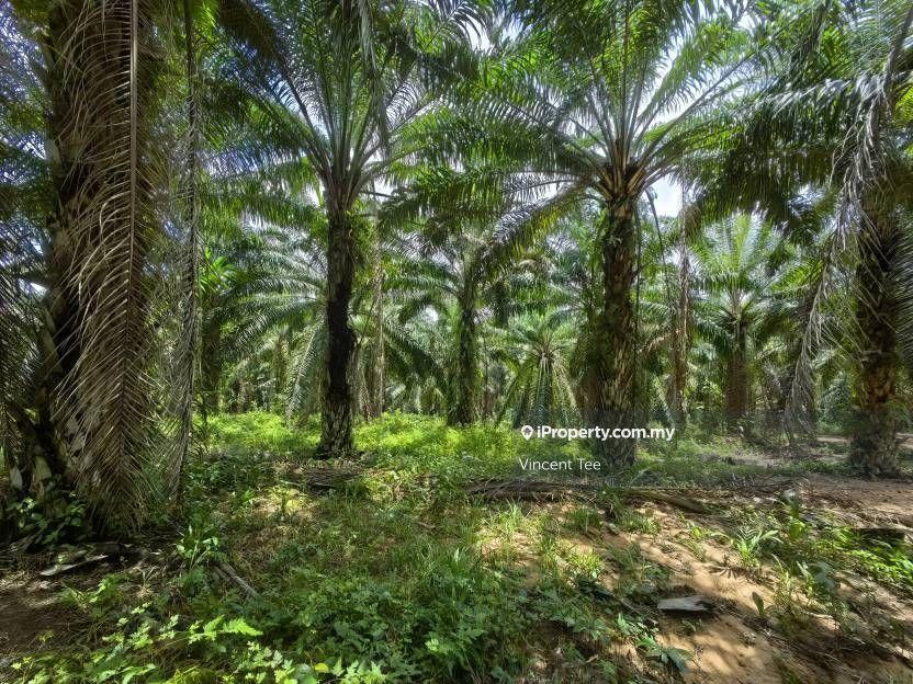 Agricultural Land for Sale in Taman Jelebu, Kuala Klawang by Vincent Tee - iProperty.com.my