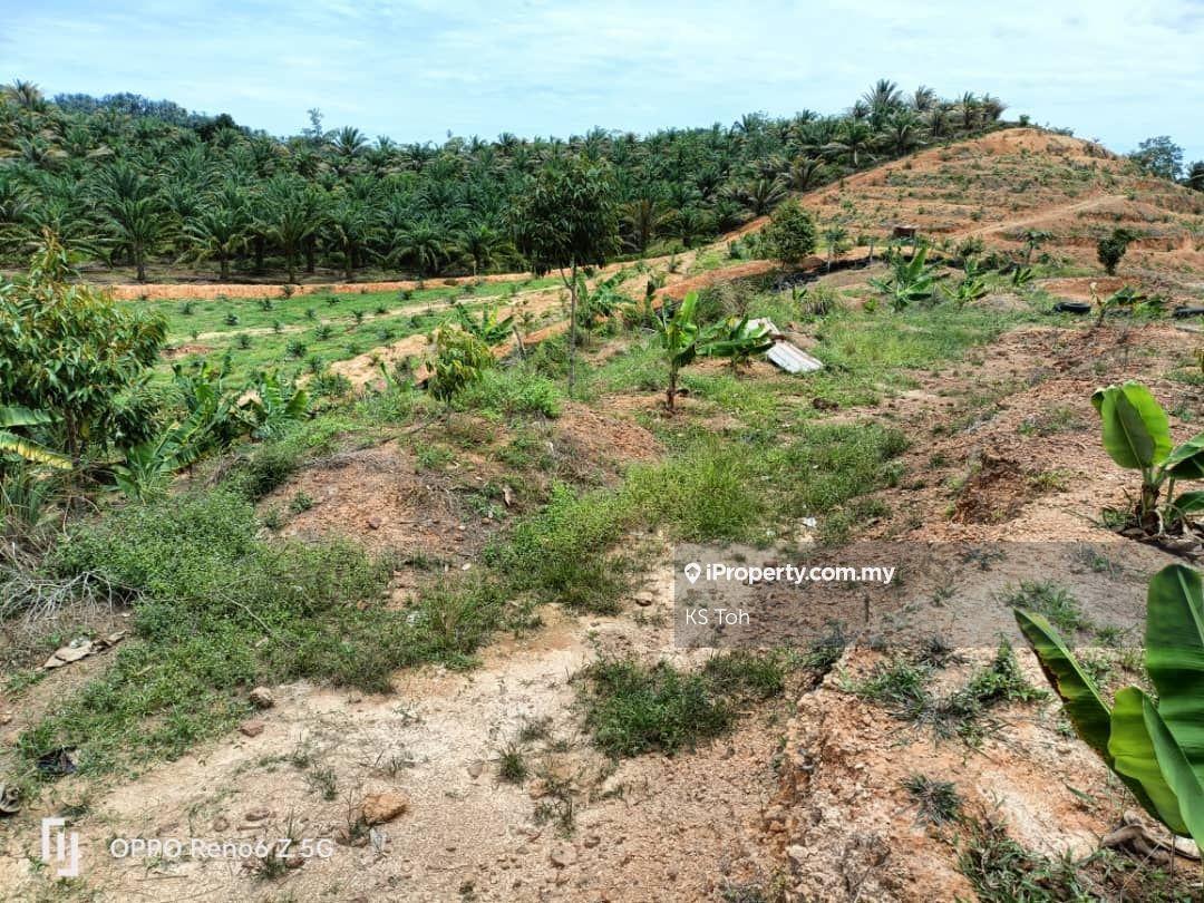 Agricultural Land for Sale in Kampung Kendong Lama, Gadong by KS Toh - iProperty.com.my