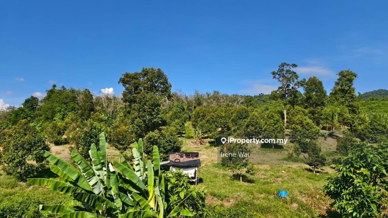 Tanah Pertanian untuk Dijual di Freehold Durian Farm with stream for Sales, Lenggong oleh Irene Wai - iProperty.com.my