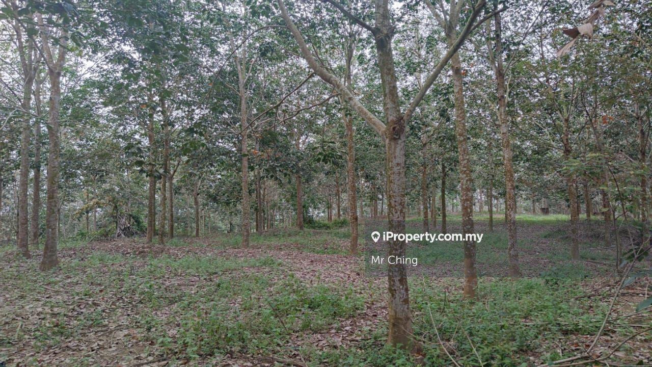 Agricultural Land for Sale in Taman Lendu Bakti, Lendu by Mr Ching - iProperty.com.my
