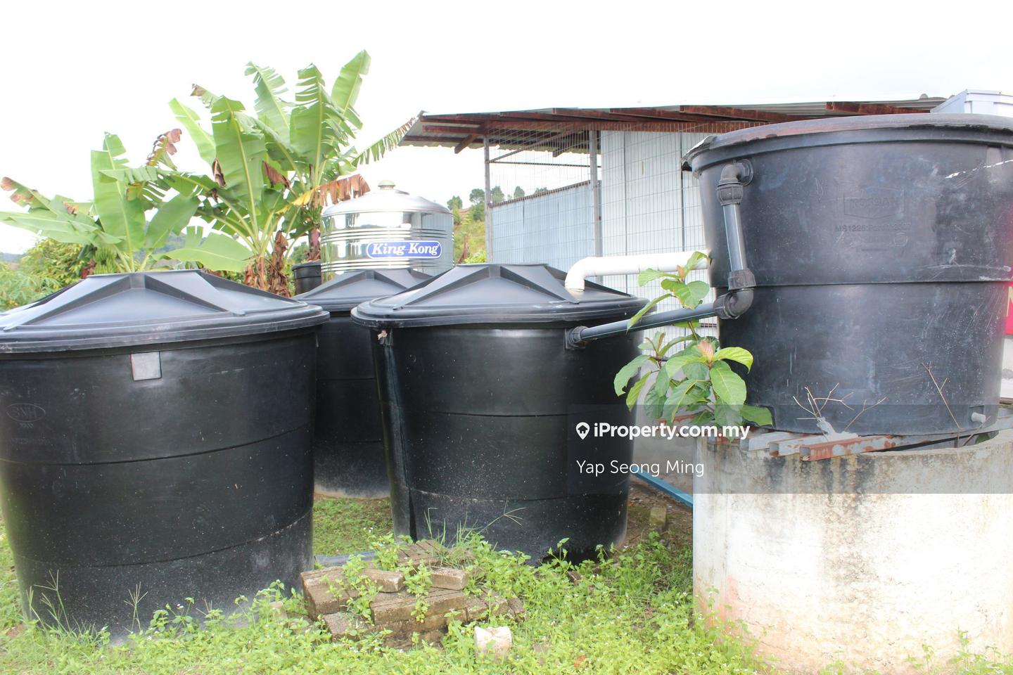 Tanah Pertanian untuk Dijual di Kenaboi, Kenaboi oleh Yap Seong Ming - iProperty.com.my