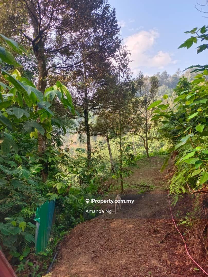 Agricultural Land for Sale in Kuala Lipis mukim penjom, Kuala Lipis by Amanda Ng - iProperty.com.my