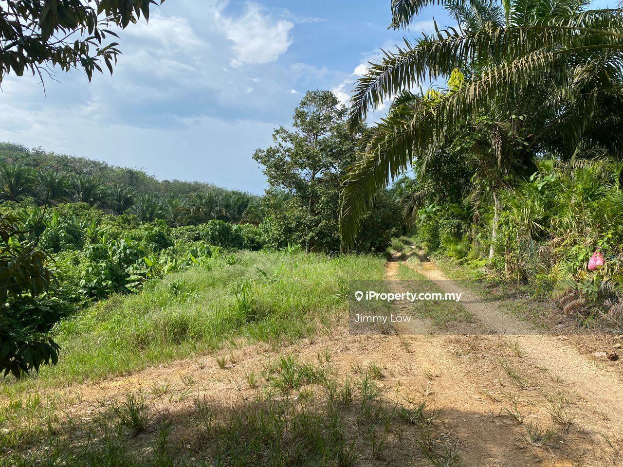 Agricultural Land for Sale in Karak, Pahang by Jimmy Low - iProperty.com.my
