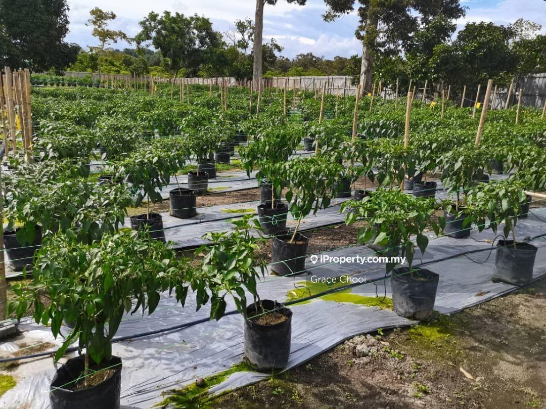 Agricultural Land for Sale in Mantin, Mantin by Grace Chooi - iProperty.com.my