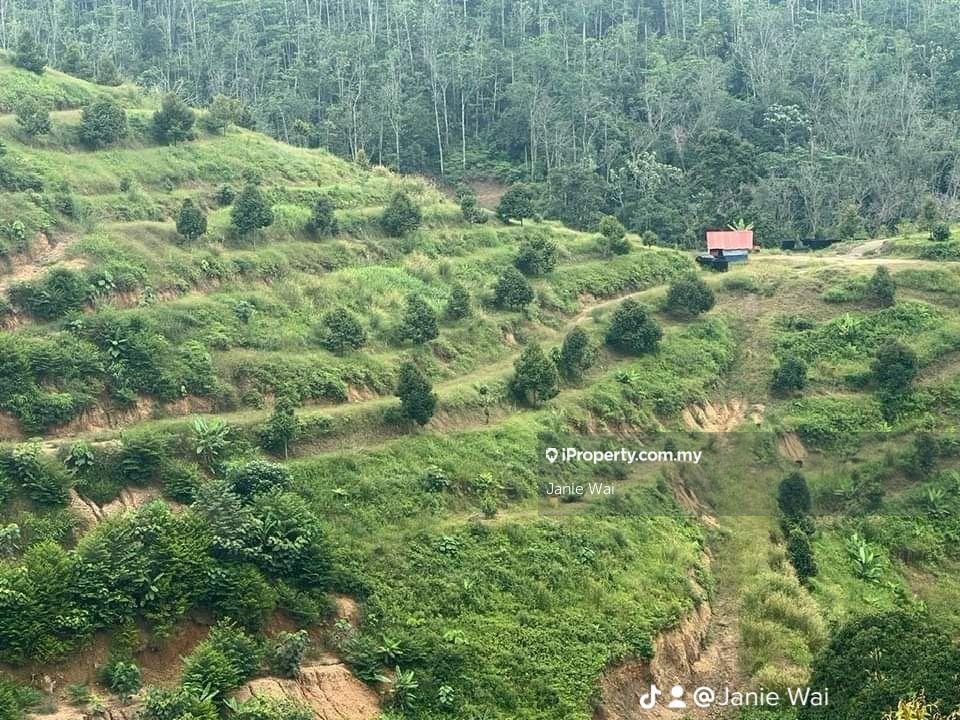 Tanah Pertanian untuk Dijual di Taman Jelebu, Kuala Klawang oleh Janie Wai - iProperty.com.my