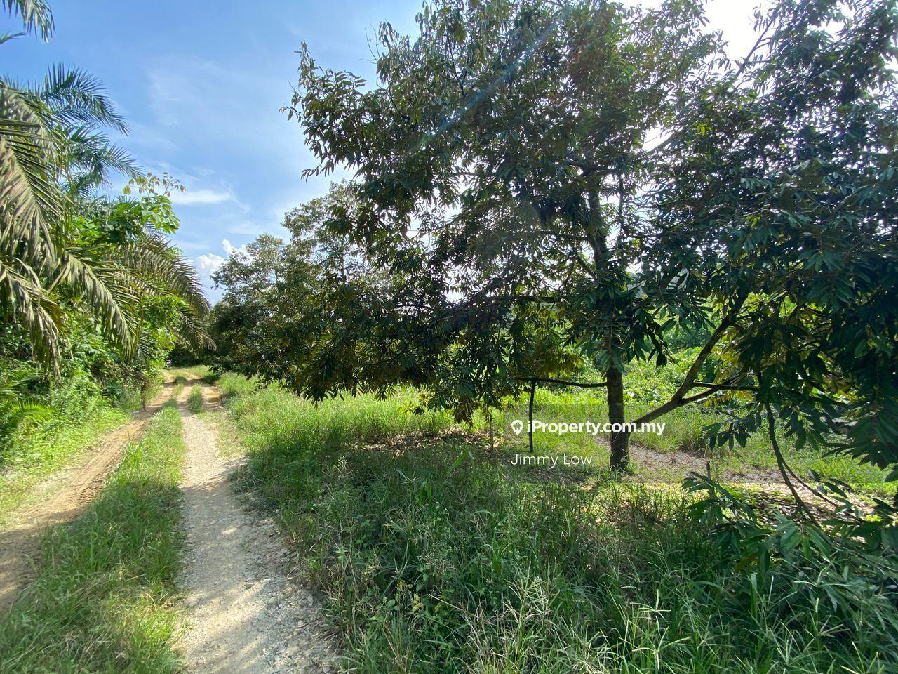 Agricultural Land for Sale in Karak, Pahang by Jimmy Low - iProperty.com.my