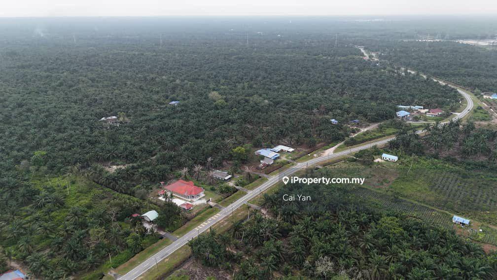 Agricultural Land for Sale in Padang Meha, Kedah by Cai Yan - iProperty.com.my