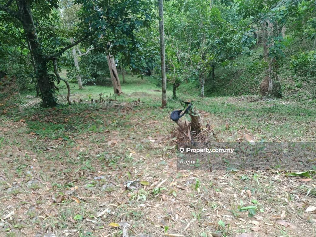 Tanah Pertanian untuk Dijual di Ulu Melaka, Langkawi, Ulu Melaka oleh Azemi - iProperty.com.my