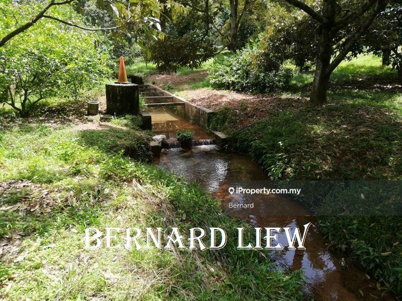 Agricultural Land for Sale in Gurun, Kedah by Bernard - iProperty.com.my