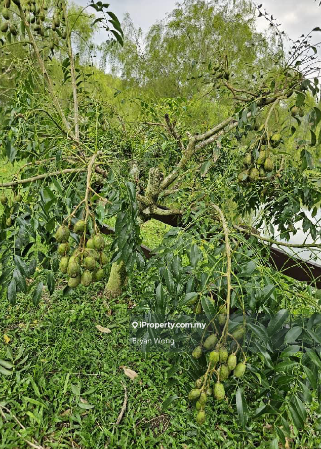Agricultural Land for Sale in Kampung Sungai Makau, Hulu Langat by Bryan Wong - iProperty.com.my