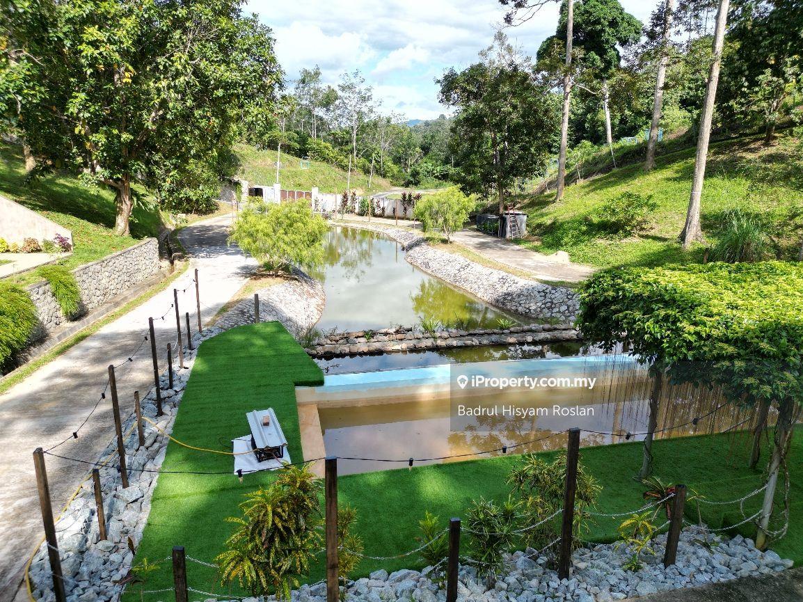 Tanah Pertanian untuk Dijual di Taman Jelebu, Kuala Klawang oleh Badrul Hisyam Roslan - iProperty.com.my