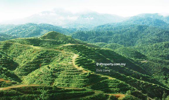 Tanah Pertanian untuk Dijual di Endau, Rompin oleh Elvis Liang - iProperty.com.my