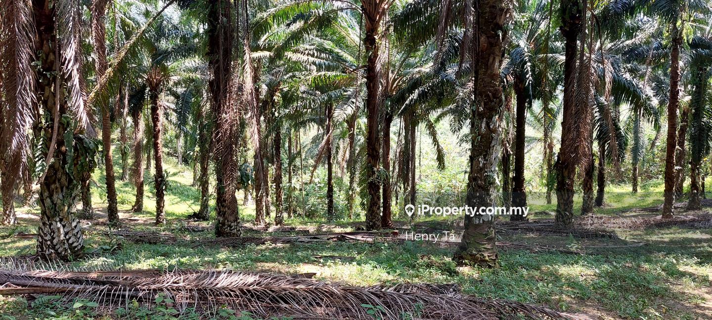 Tanah Perindustrian untuk Dijual di Hulu Semenyih, Semenyih oleh Henry Ta - iProperty.com.my