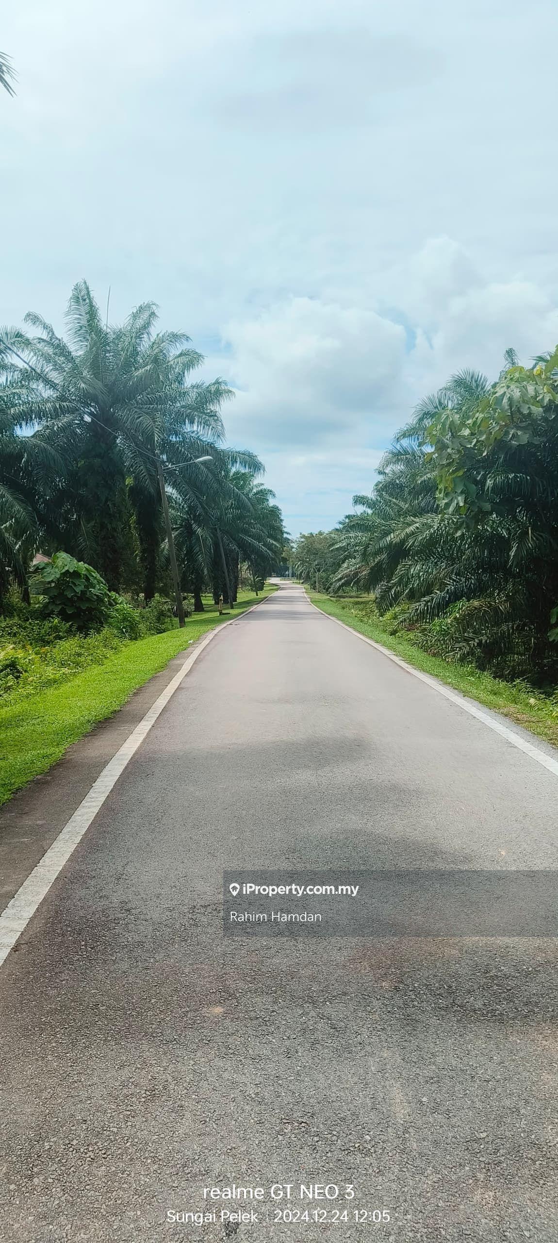 Agricultural Land for Sale in Jalan Utama Batu 2, Sungai Pelek, Sepang, Sungai Pelek by Rahim Hamdan - iProperty.com.my