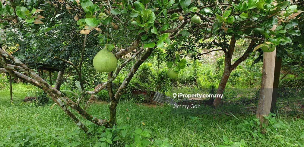 Tanah Pertanian untuk Dijual di Hulu Langat, Hulu Langat oleh Jimmy Goh - iProperty.com.my