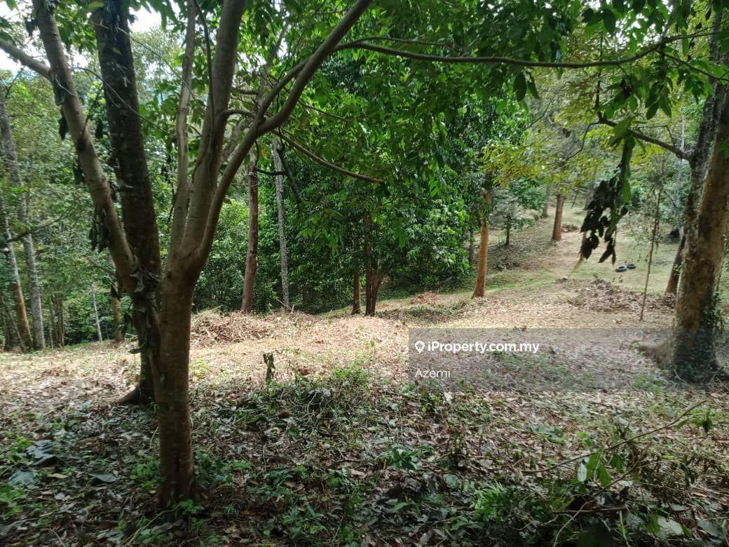Tanah Pertanian untuk Dijual di Ulu Melaka, Langkawi, Ulu Melaka oleh Azemi - iProperty.com.my