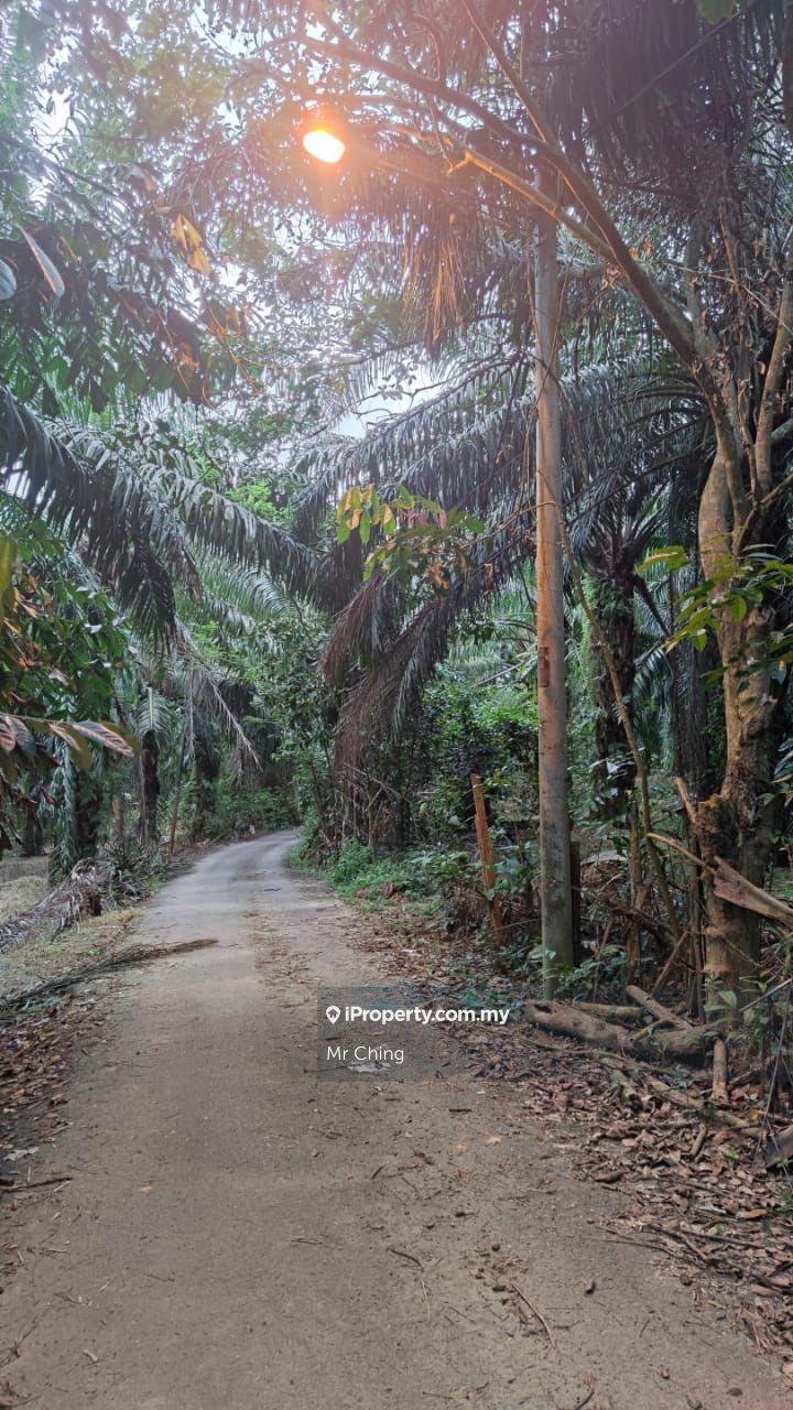 Agricultural Land for Sale in Kawasan Perindustrian Jasin, Jasin by Mr Ching - iProperty.com.my