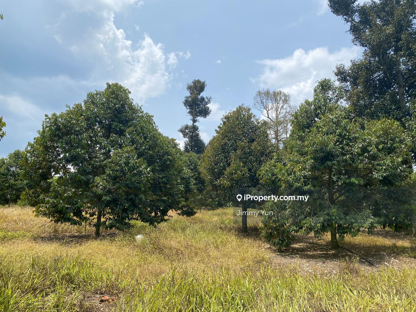 Agricultural Land for Sale in Durian farm for sale Titi , Negeri Sembilan, Titi by Jimmy Yun - iProperty.com.my
