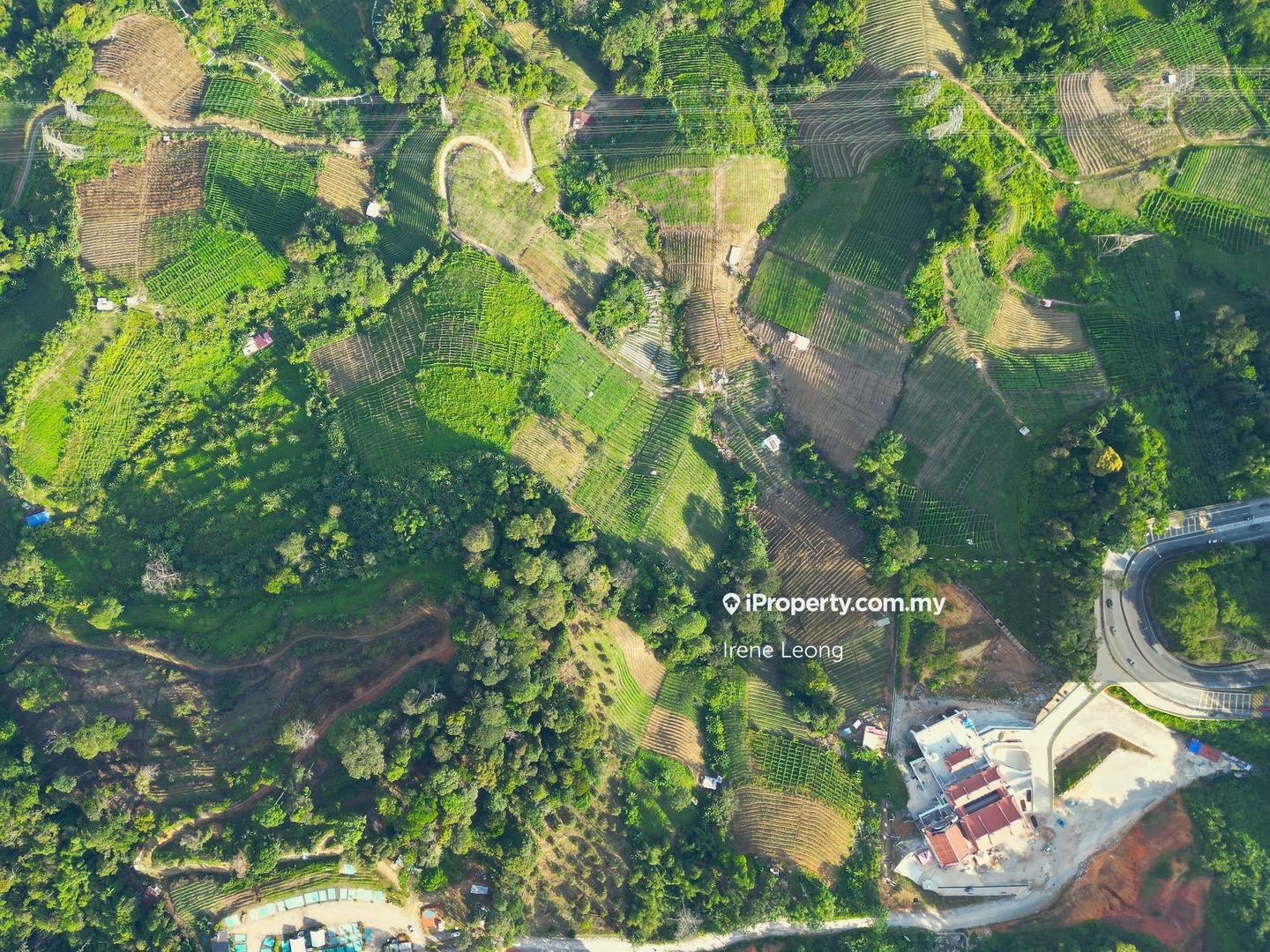 Agricultural Land for Sale in Genting Highlands, Bentong by Irene Leong - iProperty.com.my