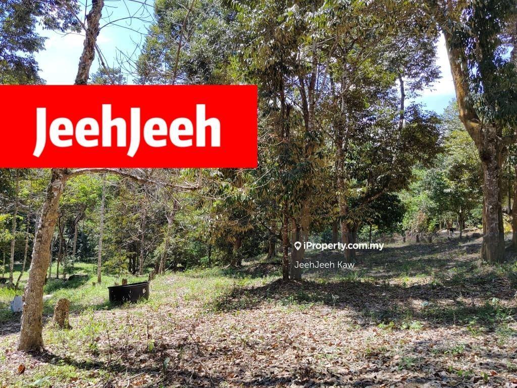 Agricultural Land for Sale in Merbok, Kedah by JeehJeeh Kaw - iProperty.com.my