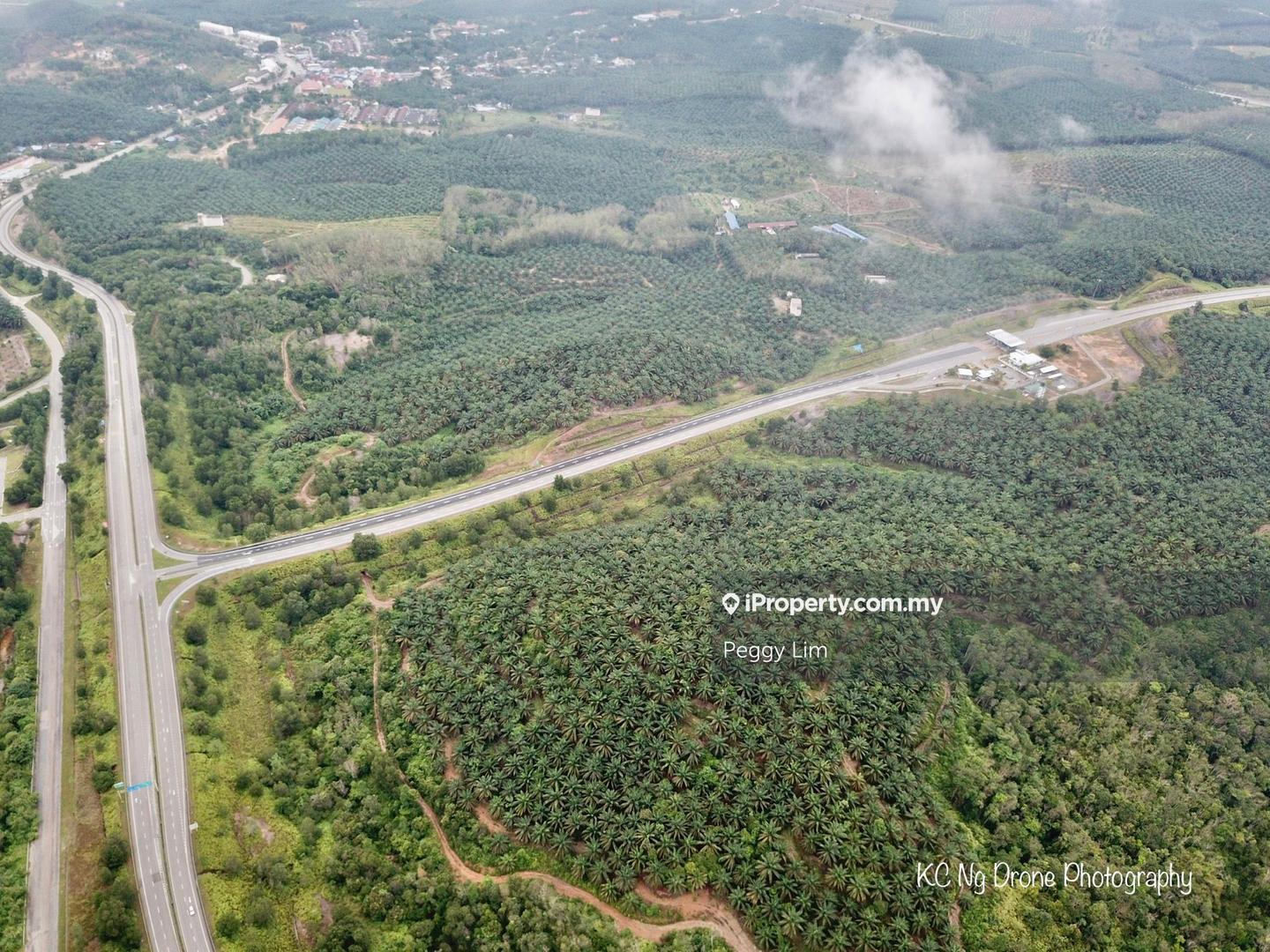 Agricultural Land for Sale in Sri Jaya, Maran by Peggy Lim - iProperty.com.my