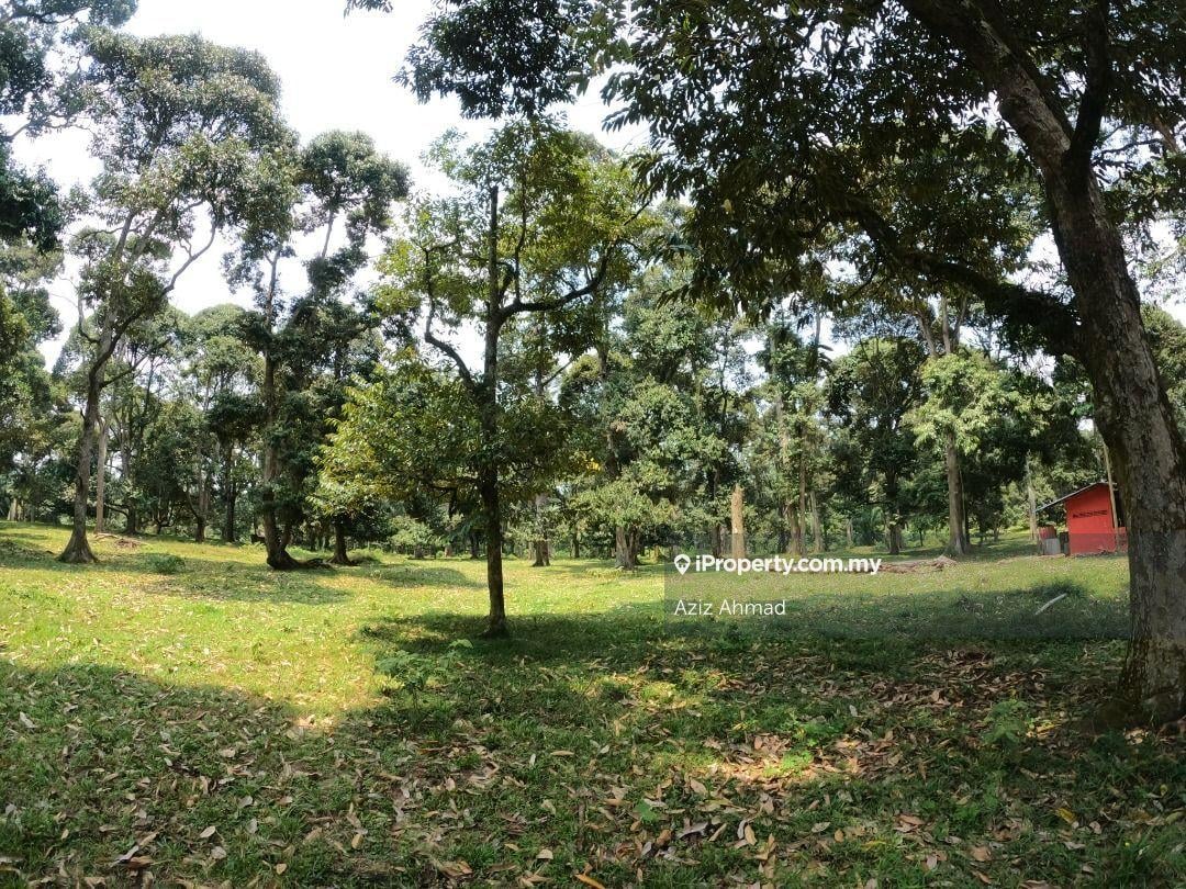 Agricultural Land for Sale in Salak Tinggi, Sepang by Aziz Ahmad - iProperty.com.my