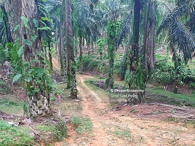 Agricultural Land for Sale in Slim River, Perak by Sherlyn Yeoh - iProperty.com.my