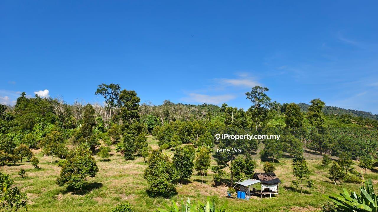 Tanah Pertanian untuk Dijual di Freehold Durian Farm with stream for Sales, Lenggong oleh Irene Wai - iProperty.com.my