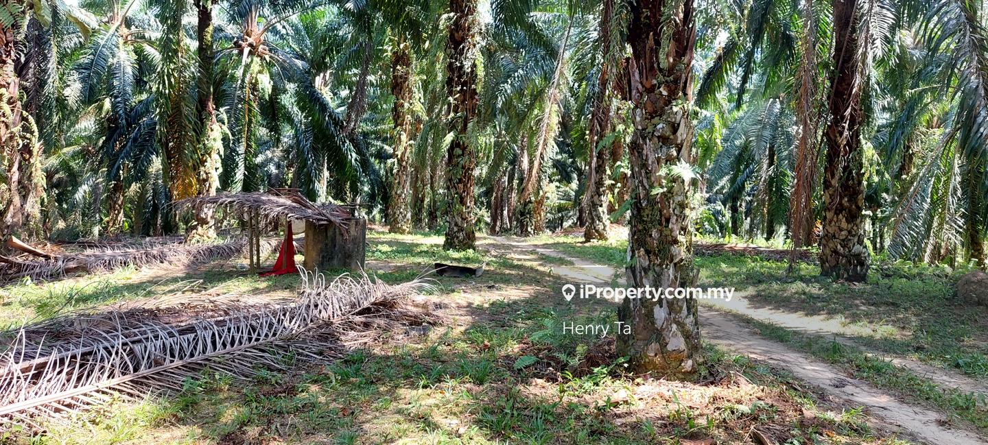 Tanah Perindustrian untuk Dijual di Hulu Semenyih, Semenyih oleh Henry Ta - iProperty.com.my
