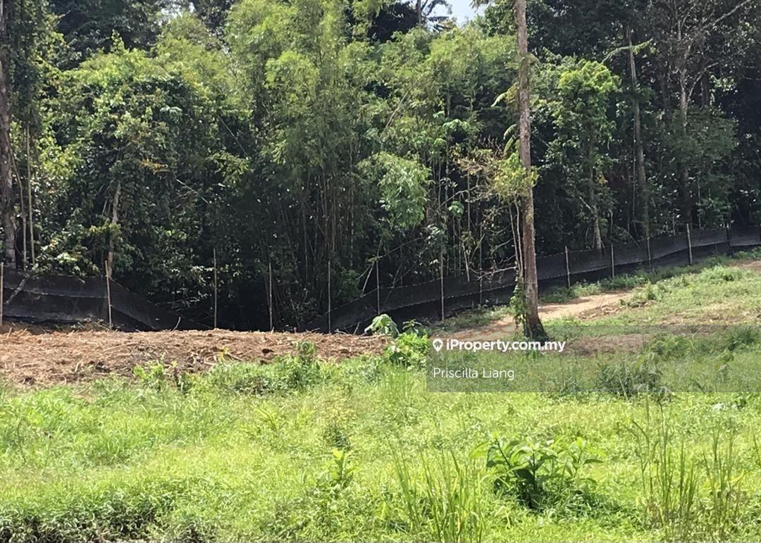 Tanah Pertanian untuk Dijual di Bentong, Bentong oleh Priscilla Liang - iProperty.com.my