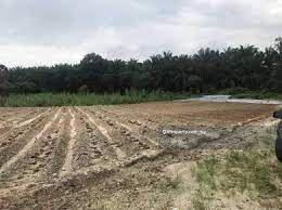 Tanah Pertanian untuk Dijual di Endau, Rompin oleh Elvis Liang - iProperty.com.my