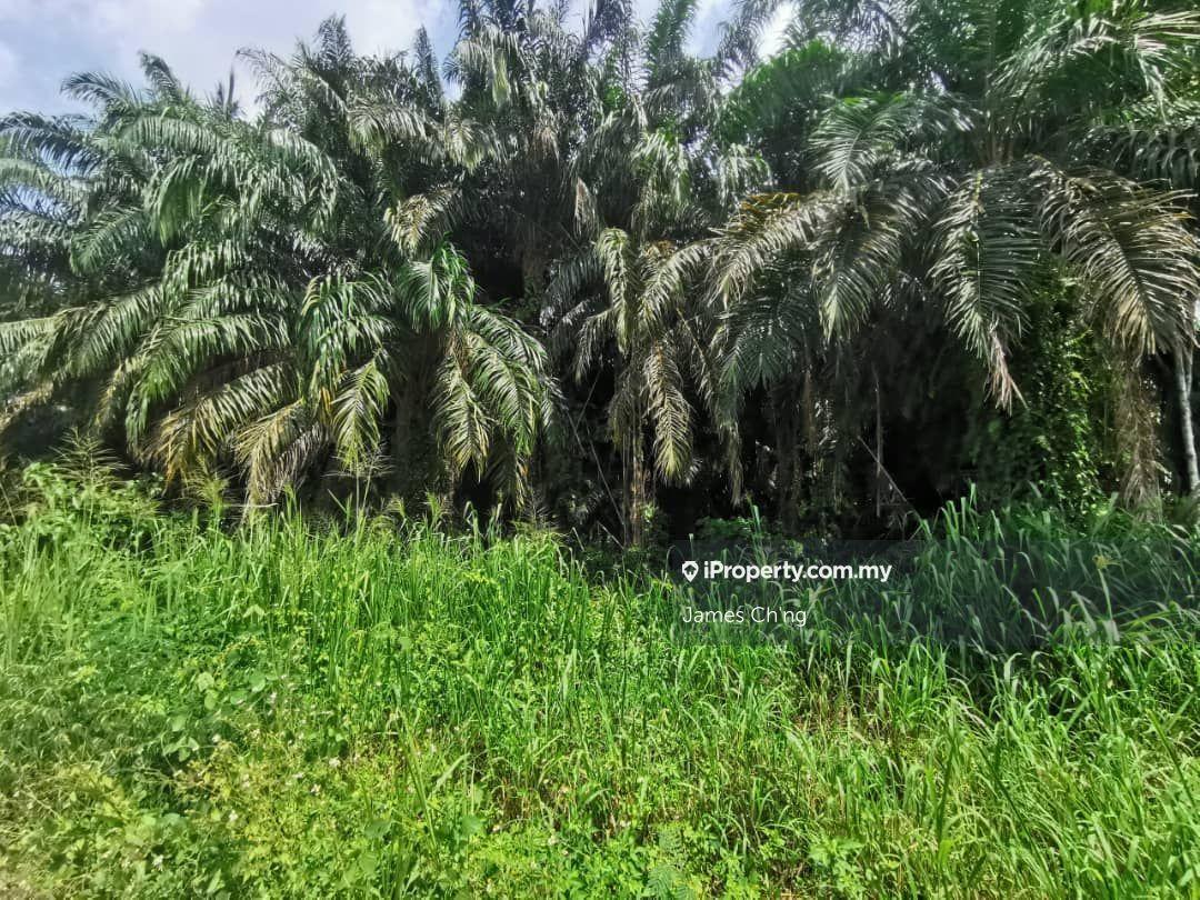 Industrial Land for Sale in rawang, Serendah by James Ch'ng - iProperty.com.my